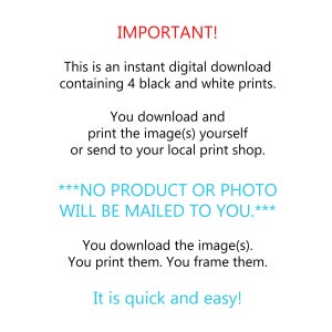 May include: Text on a white background that reads "IMPORTANT! This is an instant digital download containing 4 black and white prints. You download and print the image(s) yourself or send to your local print shop. ***NO PRODUCT OR PHOTO WILL BE MAILED TO YOU.*** You download the image(s). You print them. You frame them. It is quick and easy!"