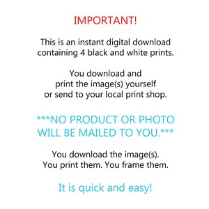 May include: Text on a white background that reads "IMPORTANT! This is an instant digital download containing 4 black and white prints. You download and print the image(s) yourself or send to your local print shop. ***NO PRODUCT OR PHOTO WILL BE MAILED TO YOU.*** You download the image(s). You print them. You frame them. It is quick and easy!"