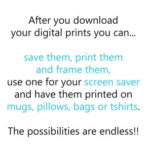 May include: Text graphic with the words "After you download your digital prints you can... save them, print them and frame them, use one for your screen saver and have them printed on mugs, pillows, bags or tshirts. The possibilities are endless!!"