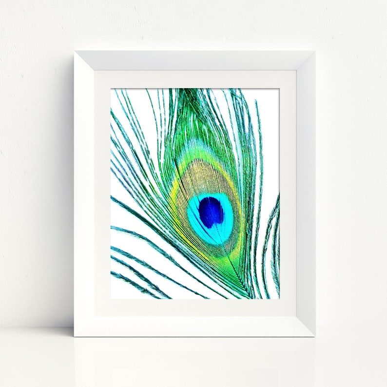 Peacock Feather Printable Art Instant Download Etsy Peacock Feather Printable Art Instant Download Etsy