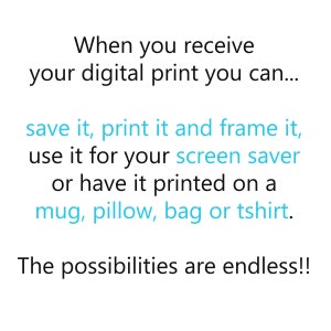 May include: Text on a white background that reads: "When you receive your digital print you can... save it, print it and frame it, use it for your screen saver or have it printed on a mug, pillow, bag or tshirt. The possibilities are endless!!"