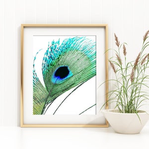 Peacock Printable Wall Art, Peacock Feather Print,  Boho Feather Print