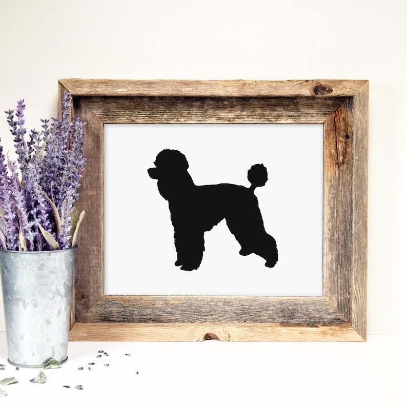 Gift for Poodle Lover Printable Art, Black and White Poodle Prints ...