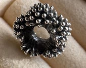 Artículos de esta tienda