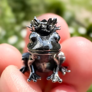 Puede incluir: Una pequeña figura de rana de metal oscuro pulido con una superficie lisa y reflectante. La rana está representada en posición sentada con las patas delanteras extendidas hacia adelante y un pequeño racimo texturizado en forma de hoja sobre su cabeza.