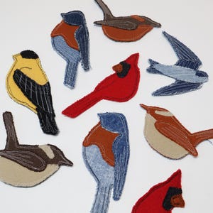 May include: A collection of nine bird-shaped fabric patches featuring various species including a red cardinal, a yellow finch, and several blue and brown songbirds. Each patch is crafted with detailed stitching and textured fabric layers.