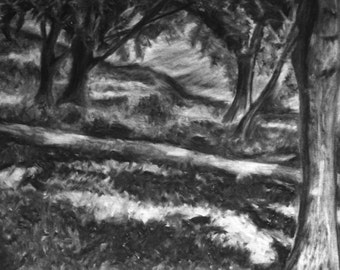 Charcoal landscape, Charcoal drawing, nature drawing, wooded path drawing