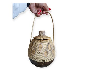 Woven Coconut Basket / Hanging / with  Lid /  Mini Hand Purse / Vase / Wall Art / Handwoven / Pastels