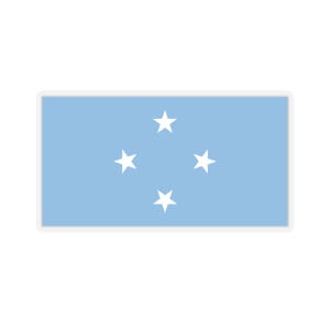 Puede incluir: Una bandera azul claro con cinco estrellas blancas dispuestas en forma de cruz.