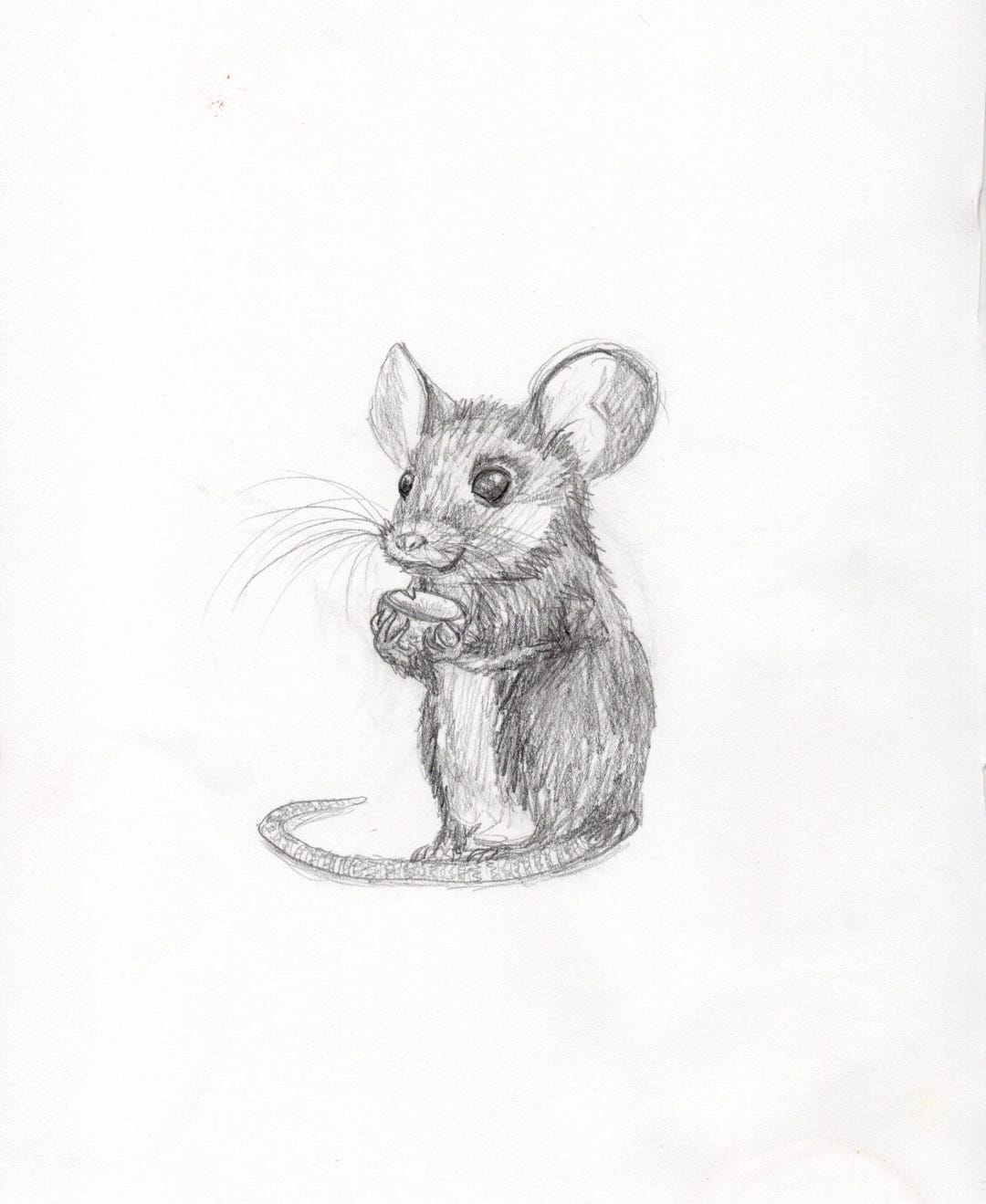 Mouse Sketch (A6 Print) - Etsy