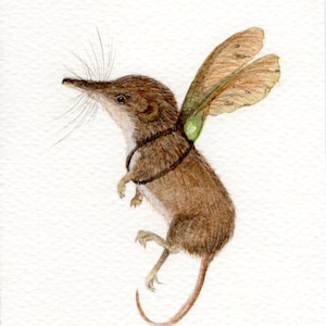 Op de afbeelding: Een aquarel van een bruine spitsmuis met vleugels die aan zijn rug zijn vastgemaakt. De spitsmuis vliegt in de lucht met zijn poten gestrekt en zijn staart gekruld achter hem.