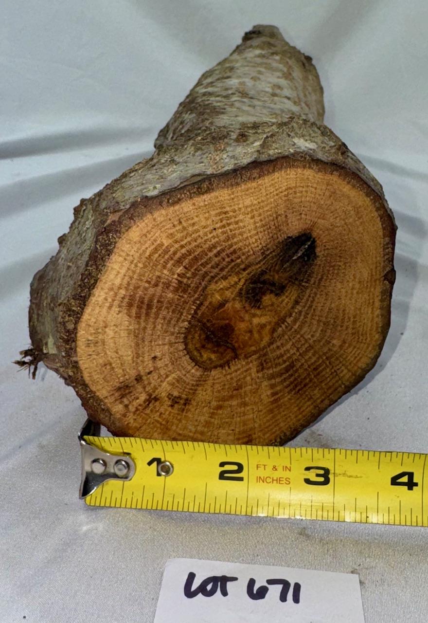 Long Green Oak Project Log, 28 X 4 Inches (stump End) Green Wood - Etsy