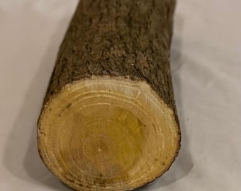 Mulberry Wood Carving Blank, Woodturning Project Piece (9.25"x2.75")