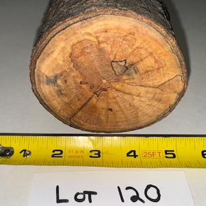 Spalted Maple craft log, project wood for wood carving, wood turning, turning blanks, craft projects or decoration