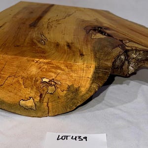 Large spalted Maple half branch junction crotch, project wood for woodworking, wood carving, wood turning, blanks, crafts or decoration