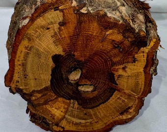 Spalted White Oak project log with heavily figured bark, 13.25 in. x 4.5 in.