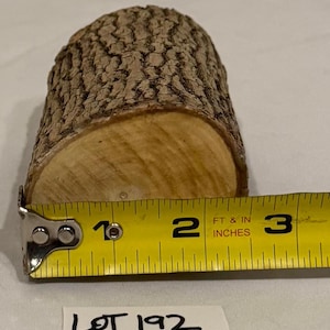 One piece Ash craft log for wood working, wood turning, wood carving, lathe turning, crafts or decoration