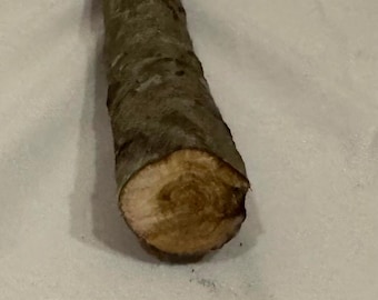 Hard Maple Craft Log, Woodturning Carving Blanks (9.5 x 1 inch)
