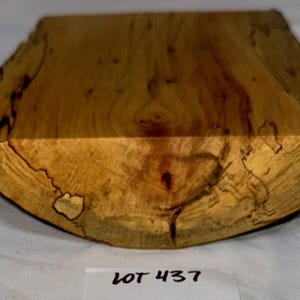 Spalted Maple blank, project wood for woodworking, wood carving, wood turning, blanks, crafts or decoration