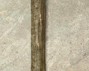 Extra-long Musclewood Walking Stick Blank, 70.5 x 1.75 inches (1.5 narrow end)