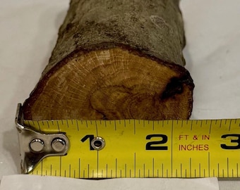 Hard Maple Craft Log, Woodturning Carving Blank (4.5x2 inches)