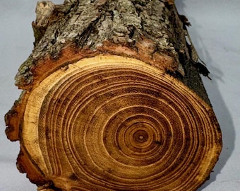 Black Locust Wood Project Log, Green Wood 14 x 3.5 inches