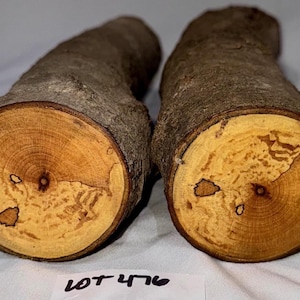 2 pieces spalted Maple craft logs, project wood for woodworking, wood carving, wood turning, blanks, crafts or decoration