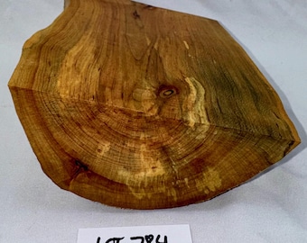 Spalted Maple Blank, Woodworking, Carving, Turning 6.75 x 5 x 2 inches