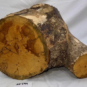 Puede incluir: Una sección de tronco de árbol, cortada para revelar la veta y la textura de la madera. El extremo cortado muestra anillos concéntricos en tonos marrones y beige, con un exterior rugoso cubierto de corteza. El tronco tiene un aspecto natural y orgánico.