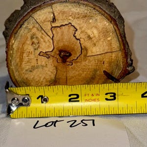 Spalted Maple craft log for wood working, wood turning, wood carving, turning blanks, crafts or decoration