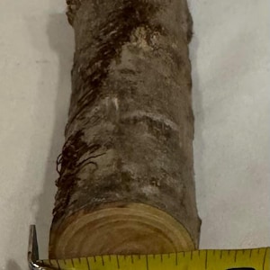 One piece Ash craft log for wood turning, wood working, wood carving, blanks, crafts or decoration