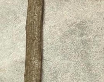 Musclewood Walking Stick/Walking Staff Blank, 64 x 1.5 inches (1.25 narrow end)