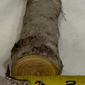 One piece Ash craft log for wood working, wood turning, wood carving, blanks, crafts or decoration