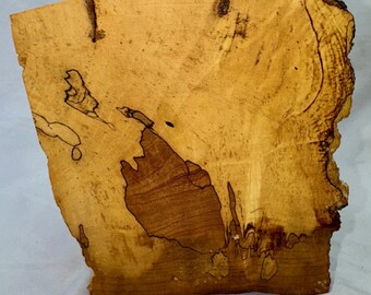 Spalted Maple branch junction wood, 10 x 6.5 x 5.75 inches