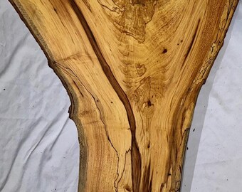 Large Spalted Maple Wood Blank, Double Branch Junction, Woodworking Project