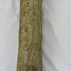 Peut inclure: Un morceau de bois naturel à la surface rugueuse et texturée. Le bois est de couleur brun clair avec des nuances de vert et de gris. L'image comprend le texte "LOT 728".