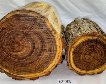 2-piece large Black Locust project pack, 6.5 x 7.75 and 5.75 x 5.25 inches