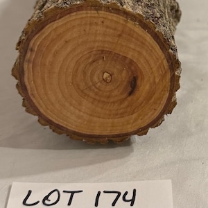 One piece Ash project log for woodturning, woodworking, woodcarving, crafts or decoration