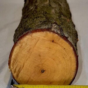 Mos groen elastiek 15mm 3 meter - Kralenwinkel Albertien