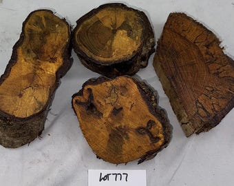 4-piece spalted White Oak wood project pack, various sizes