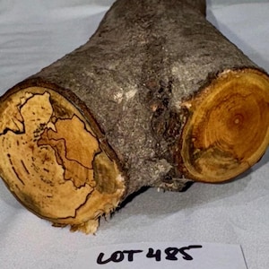 Spalted Maple craft log with branch junction crotch, project wood for woodworking, wood turning, wood carving, blanks, crafts or decoration