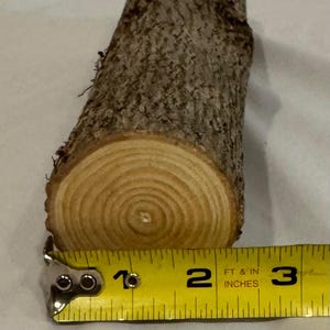 One piece Ash craft log for wood working, wood turning, wood carving, blanks, crafts or decoration