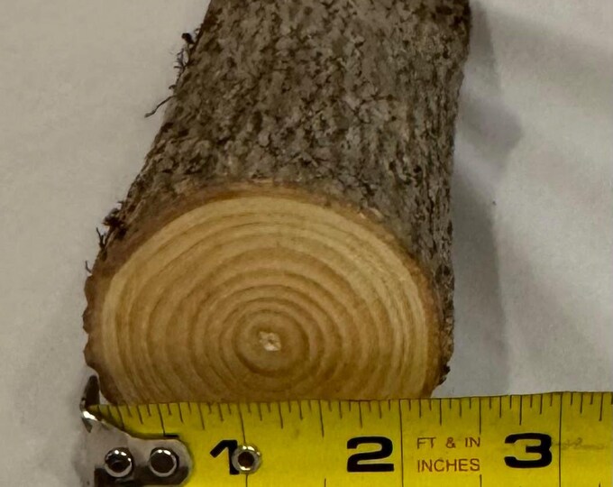 One Piece Ash Craft Log for Wood Working, Wood Turning, Wood Carving ...