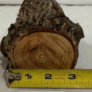 One piece Ash craft log for wood working, wood turning, wood carving, crafts or decoration
