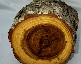 Black Locust project log, 16 x 3.25 inches green wood