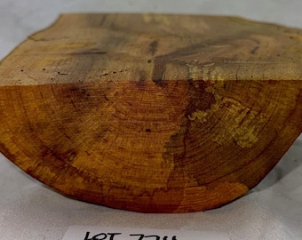 Spalted Maple Blank, Woodworking, Carving, Turning 8 x 6.5 (widest point) x 3 inches