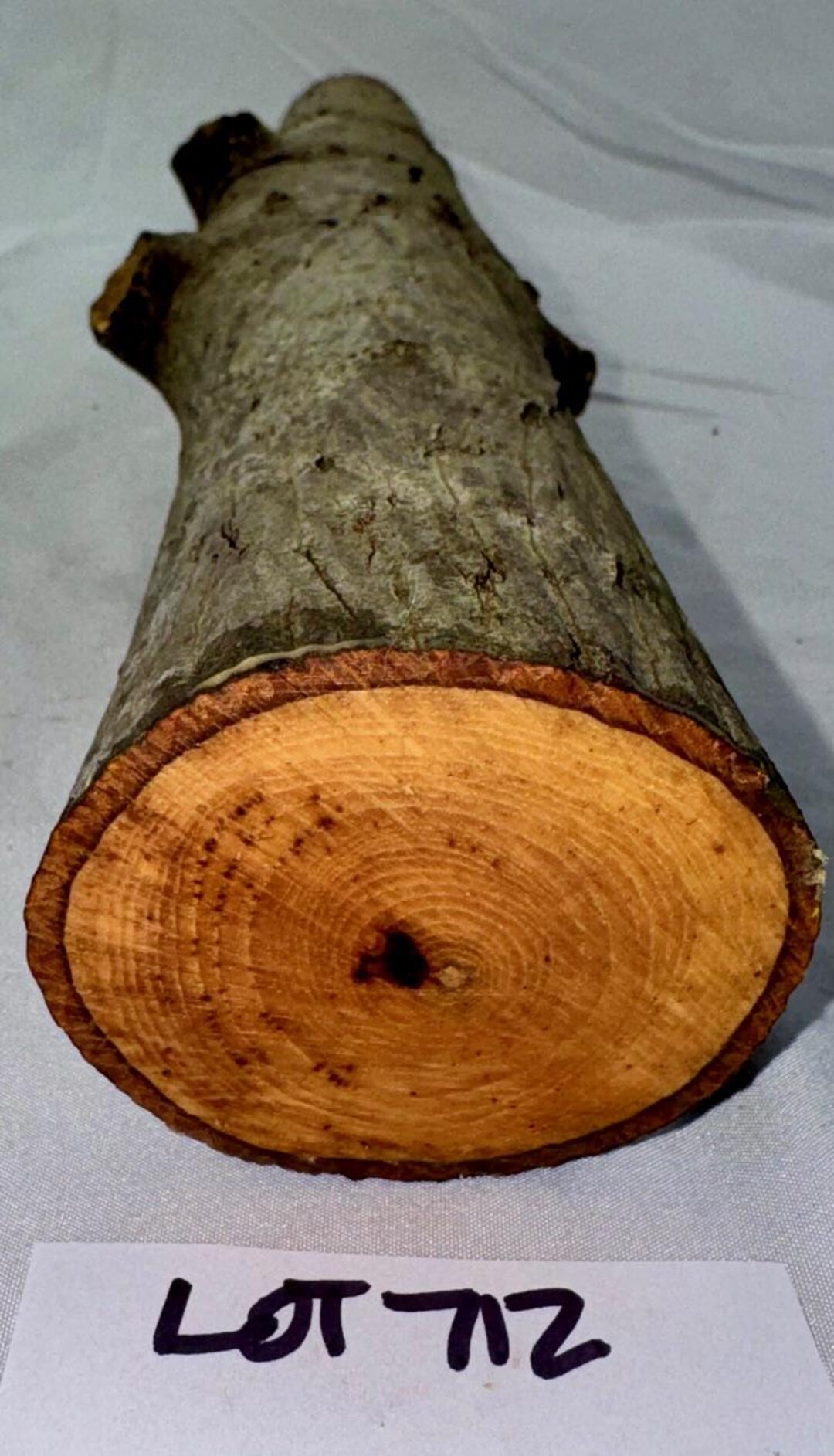 Hickory Project Log, Green Craft Wood for Woodworking, Carving, Turning ...