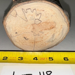 One piece spalted Maple craft log for woodworking, woodturning, turning blanks, craft projects or decoration.