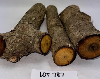 3 piece spalted Black Walnut project pack, Woodworking Carving Whittling blanks