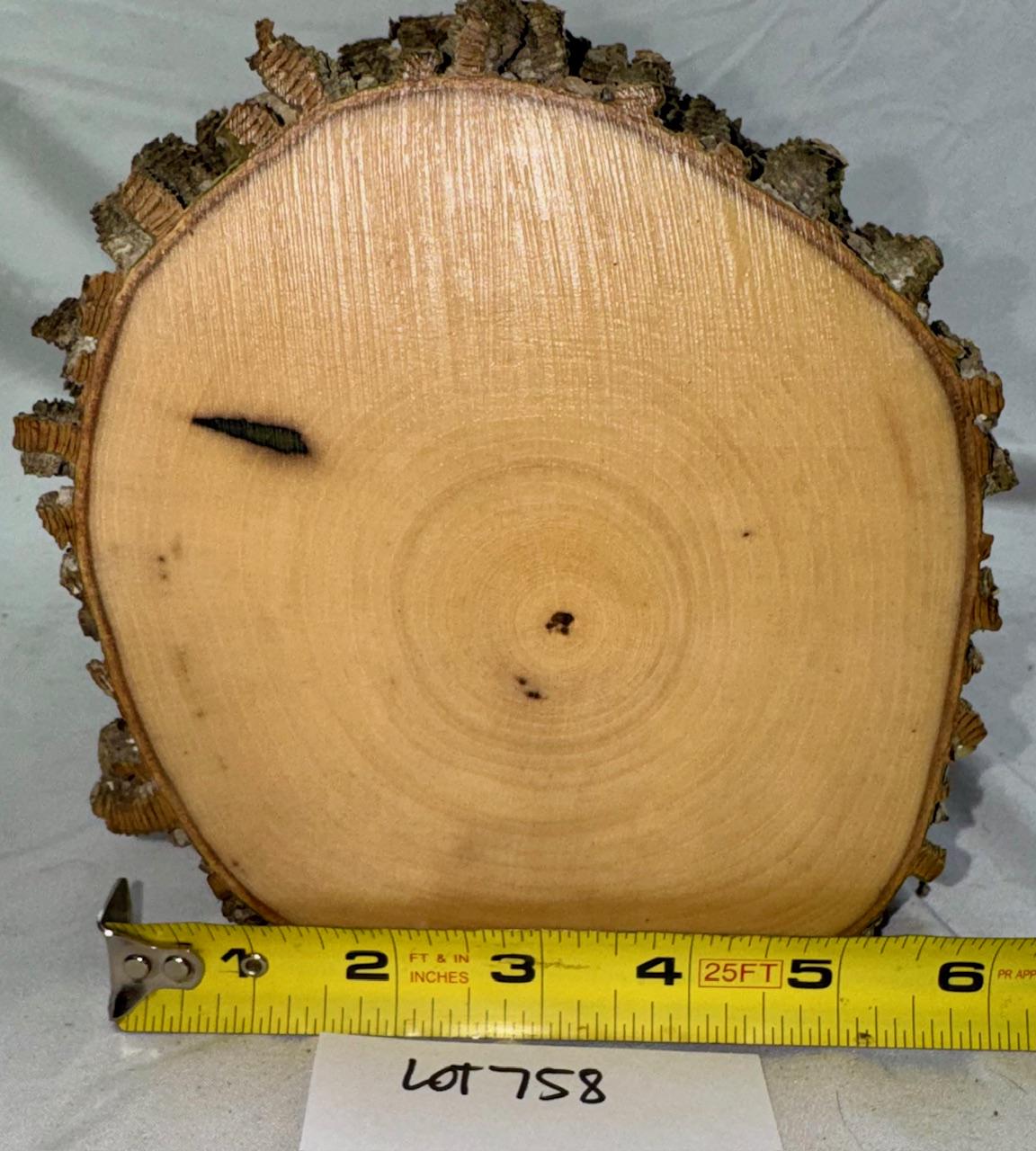 Hackberry Wood Project Log, Green Craft Log 9.75 X 6 Inches - Etsy ...